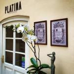 Obrázek PLATINA restaurant & garden